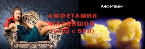 индика Богородск