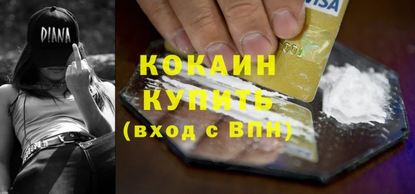 дживик Богородицк