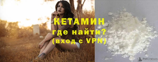индика Богородск