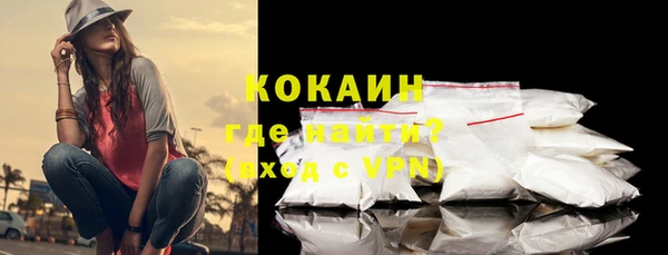 дживик Богородицк