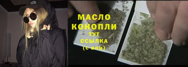 индика Богородск