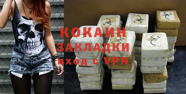 дживик Богородицк