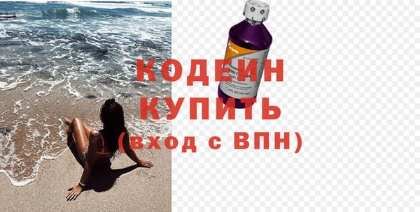 индика Богородск