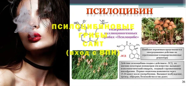 дживик Богородицк