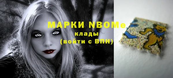 дживик Богородицк