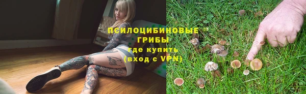 индика Богородск