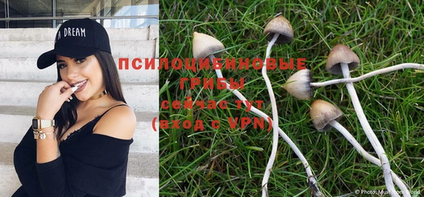 мдпв Сафоново