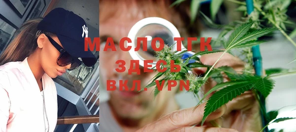 индика Богородск